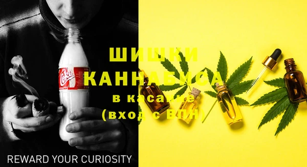 сатива Осинники