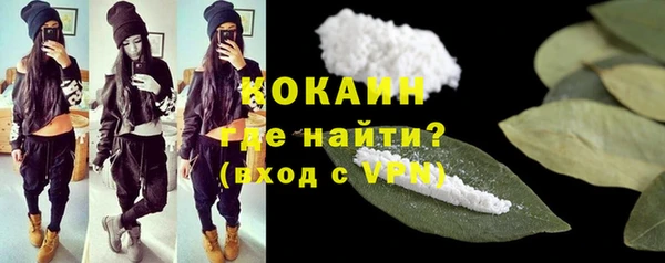 сатива Осинники