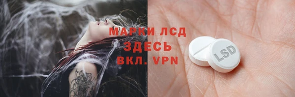 сатива Осинники