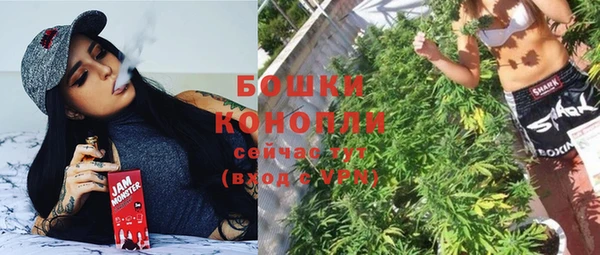 сатива Осинники