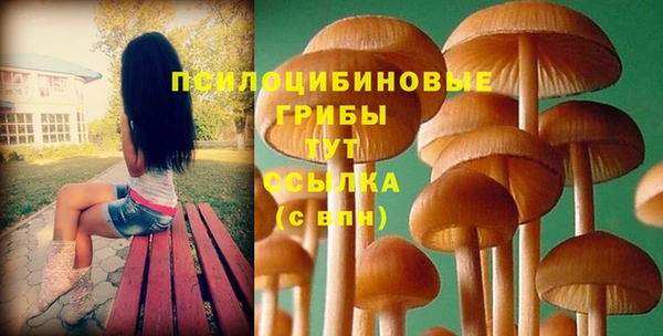 сатива Осинники