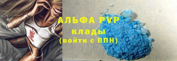 сатива Осинники