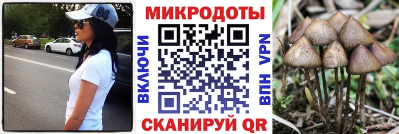 Псилоцибиновые грибы Psilocybe  Красноуральск 